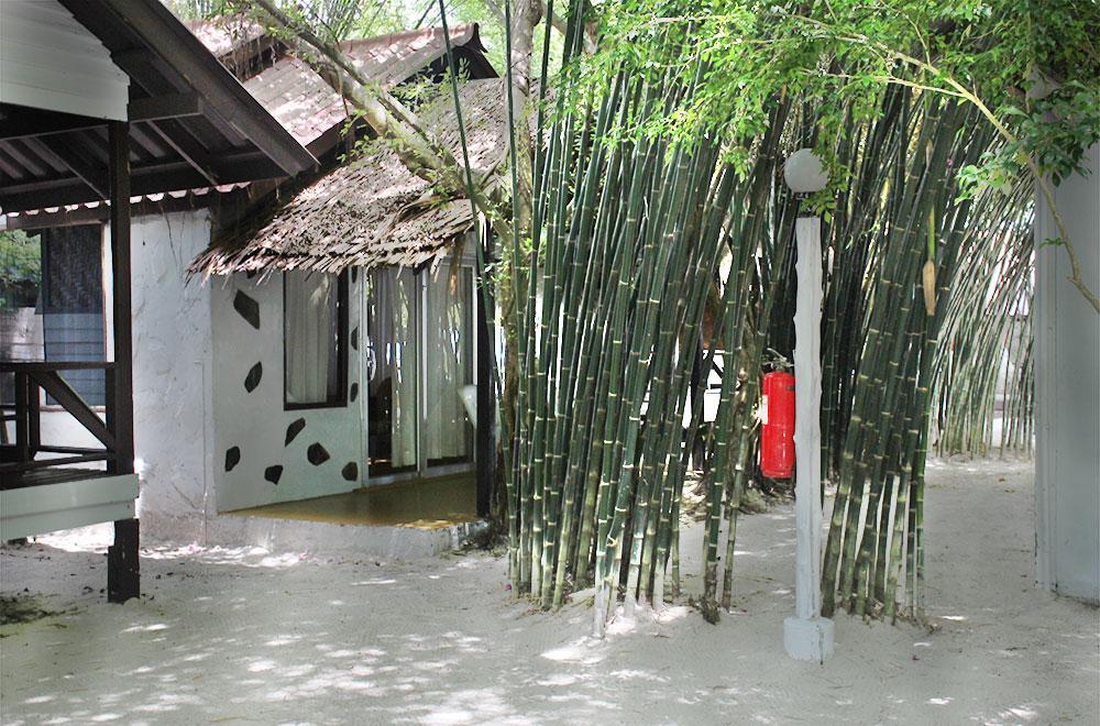 Ko Pha-Ngan Milkybay Resort bamboo trees