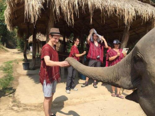 Feeding an elephant near Chiang Mai - Hubiwise Travels