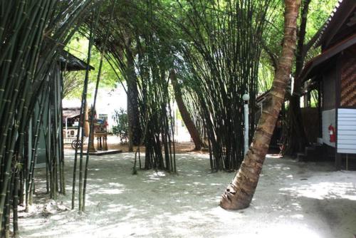 Ko Pha Ngan - Milky Bay Resort 6
