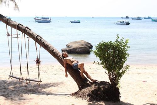 Hubi resting on a palm tree on the beach of Ko Tao - Hubiwise Travels