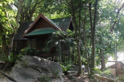 A bungalow in the woods in Ko Tao - Hubiwise Travels