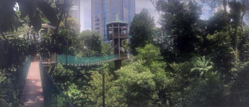 Kuala Lumpur - Forest Eco Park 2